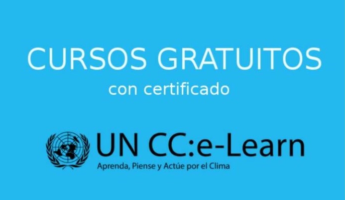 Cursos Online De La ONU